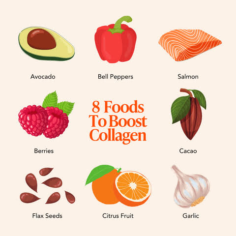 Sources of collagen